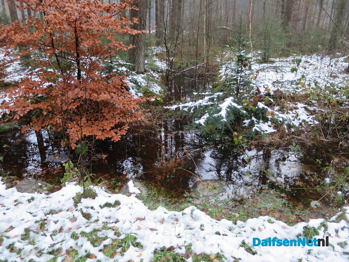 Weer mooi vroeg wandelweer - Foto: Wim