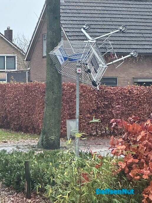 Jeugd van tegenwoordig - Foto: Ingezonden foto