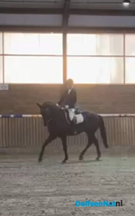 Sportverslag Paardensportvereniging Lemelerveld - Foto: Ingezonden foto
