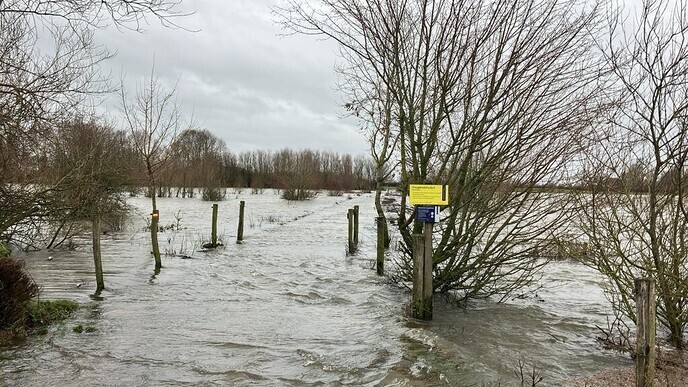 Hoogwatertoeristen: ga kijken, maar denk aan onze dijken - Foto: Ingezonden foto