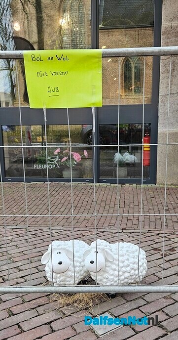 Voorjaar - Foto: Ingezonden foto