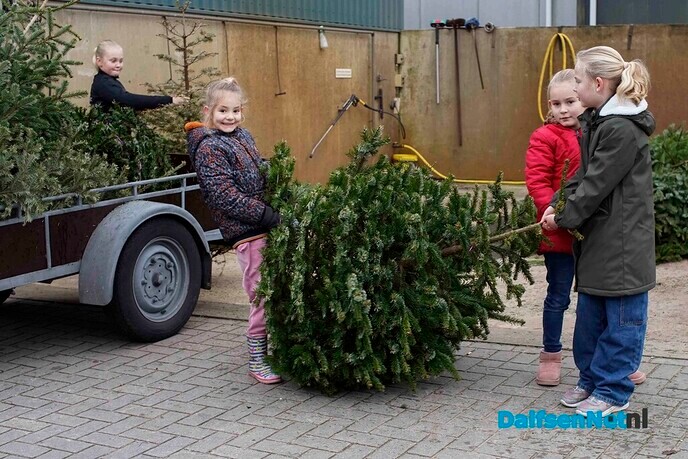 Woensdagmiddag laatste inlevermogelijkheid van kerstbomen bij de gemeente - Foto: Paul Scholten