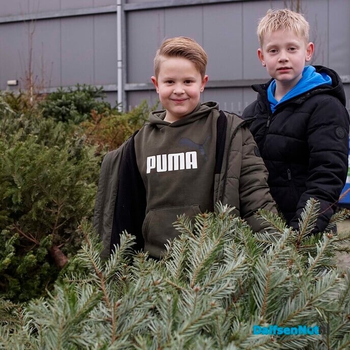 Woensdagmiddag laatste inlevermogelijkheid van kerstbomen bij de gemeente - Foto: Paul Scholten