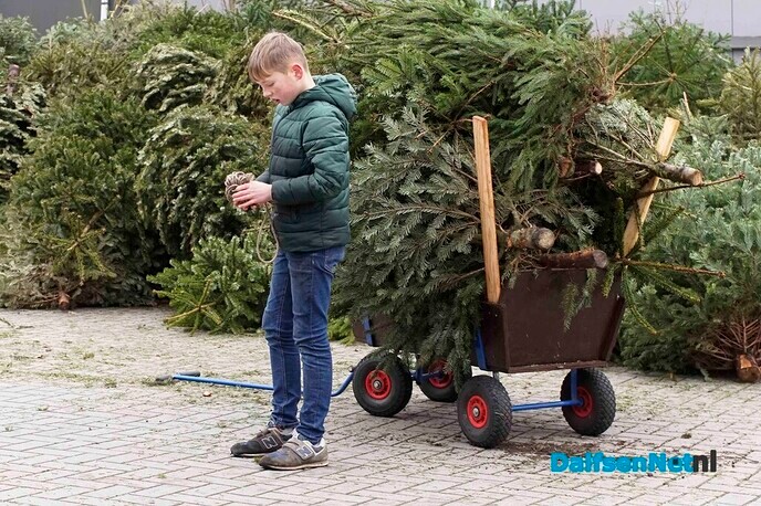 Woensdagmiddag laatste inlevermogelijkheid van kerstbomen bij de gemeente - Foto: Paul Scholten
