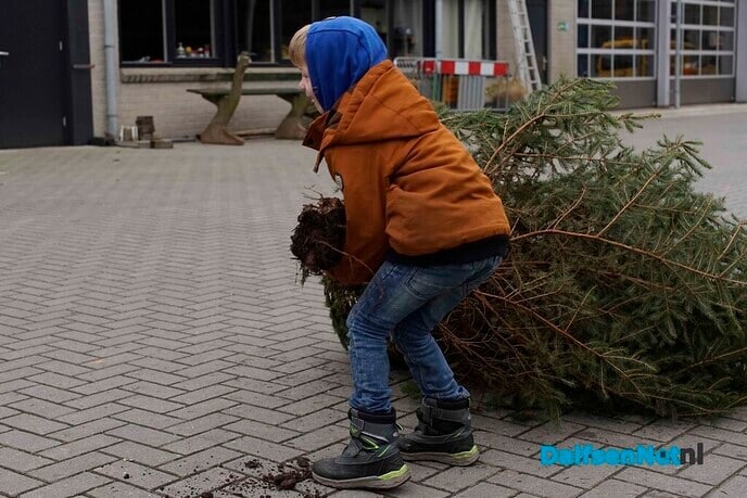 Woensdagmiddag laatste inlevermogelijkheid van kerstbomen bij de gemeente - Foto: Paul Scholten