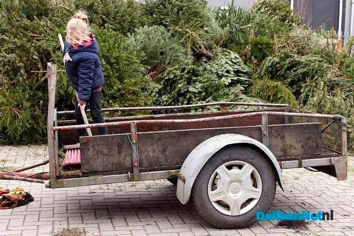 Woensdagmiddag laatste inlevermogelijkheid van kerstbomen bij de gemeente - Foto: Paul Scholten