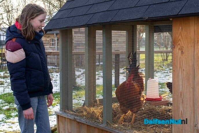 BALKINN: ‘Open Huis’ met heel veel activiteiten! - Foto: Paul Scholten