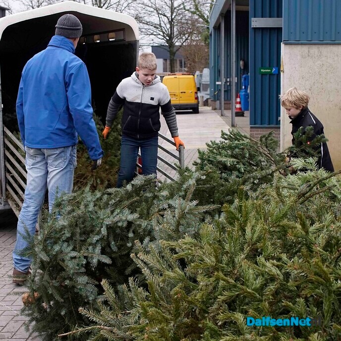 Woensdagmiddag laatste inlevermogelijkheid van kerstbomen bij de gemeente - Foto: Paul Scholten