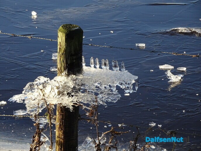 IJspret  3 - Foto: Ingezonden foto