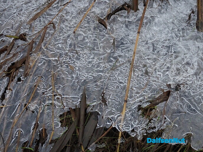 IJspret - Foto: Ingezonden foto