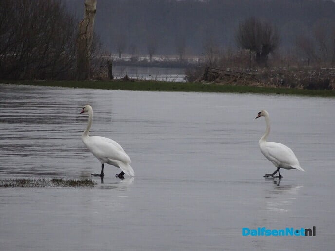 IJspret - Foto: Ingezonden foto