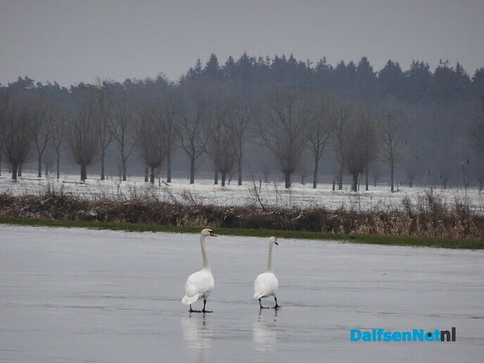 IJspret - Foto: Ingezonden foto