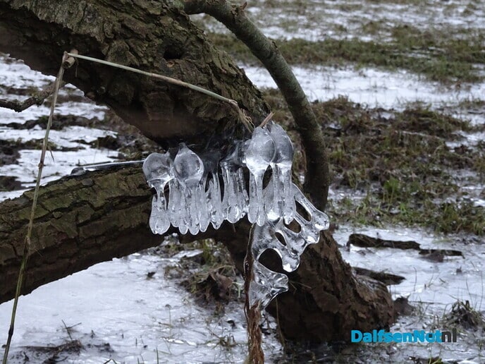 IJspret - Foto: Ingezonden foto