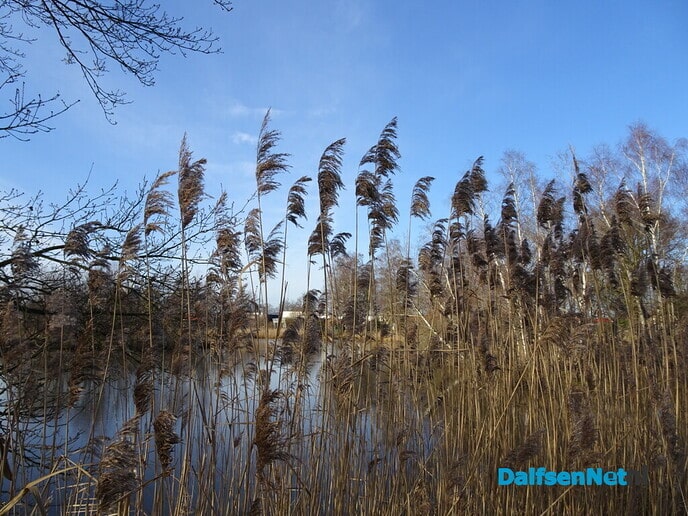 Winters zomerweer - Foto: Ingezonden foto