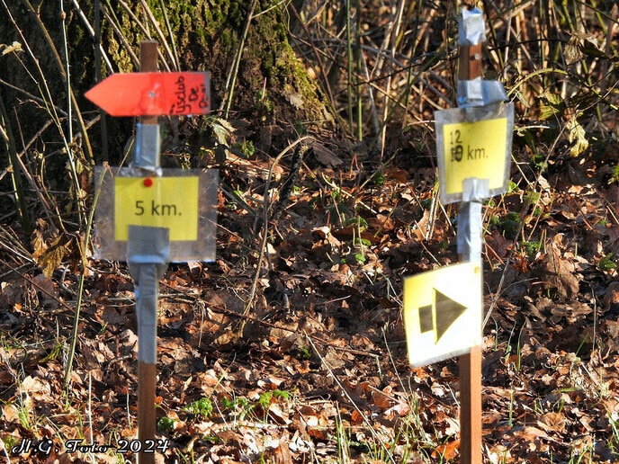 Snertwandeling ijsclub “de Poel”