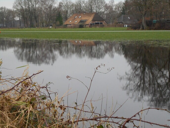 Water aan de Bosrandweg
