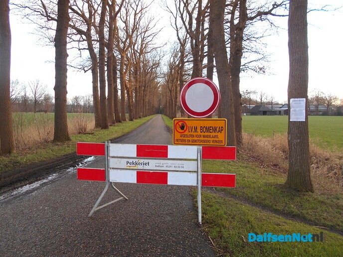 Bomen rooien begonnen