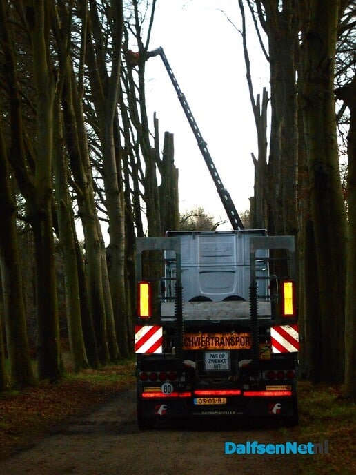 Bomen rooien begonnen