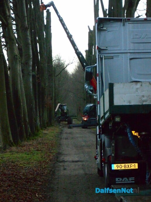 Bomen rooien begonnen