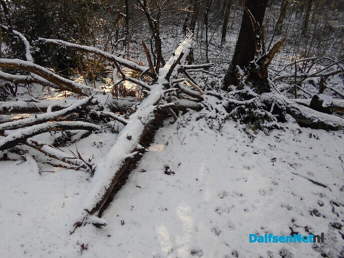 Het winterse landschap is ook wel weer mooi