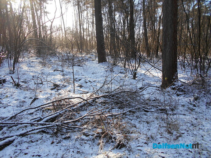 Nog steeds een beetje “Winterberg” in Dalfsen