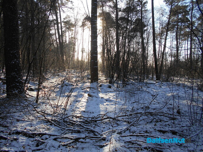 Nog steeds een beetje “Winterberg” in Dalfsen