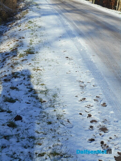 Nog steeds een beetje “Winterberg” in Dalfsen