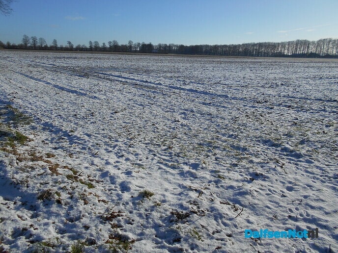 Nog steeds een beetje “Winterberg” in Dalfsen