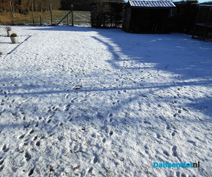 Nog steeds een beetje “Winterberg” in Dalfsen