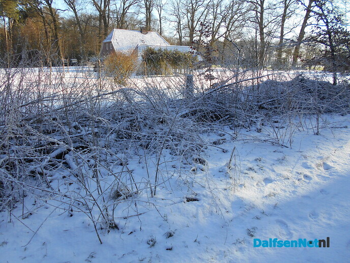 Weer een mooi laagje verse sneeuw