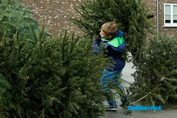 Inleveren kerstbomen - Foto: Paul Scholten