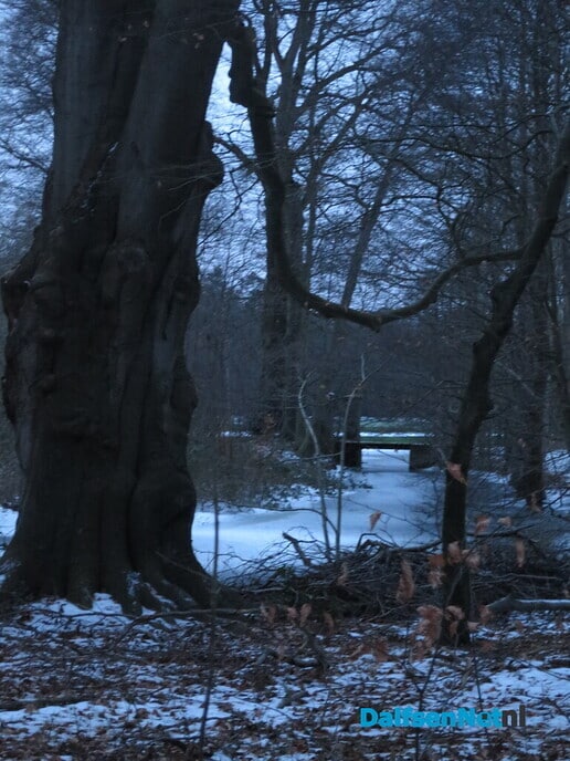 Vandaag de laatste winterkiekjes en op naar de zomer - Foto: Wim
