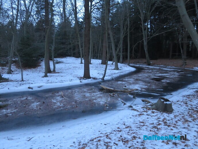 Vandaag de laatste winterkiekjes en op naar de zomer - Foto: Wim