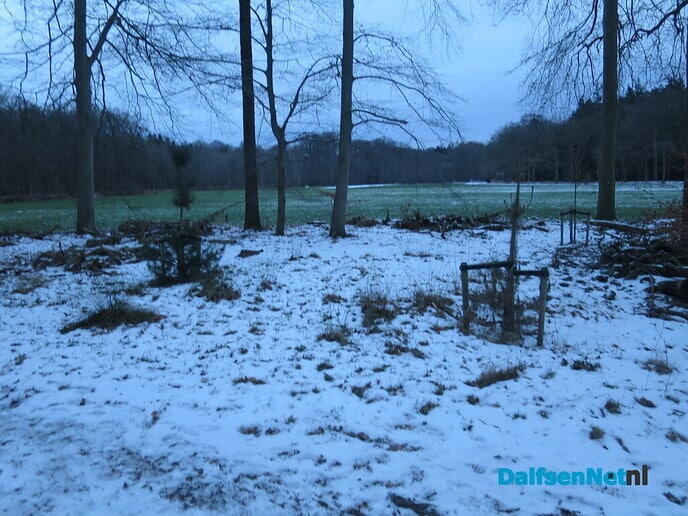 Vandaag de laatste winterkiekjes en op naar de zomer - Foto: Wim