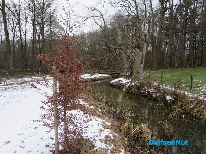 Vandaag de laatste winterkiekjes en op naar de zomer - Foto: Wim