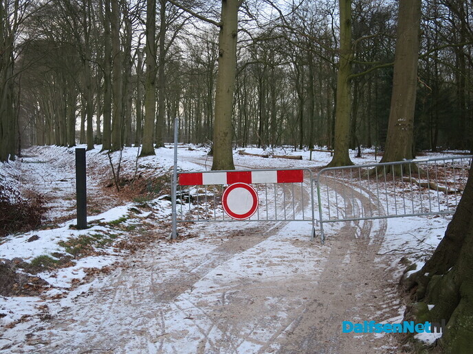 Vandaag de laatste winterkiekjes en op naar de zomer - Foto: Wim