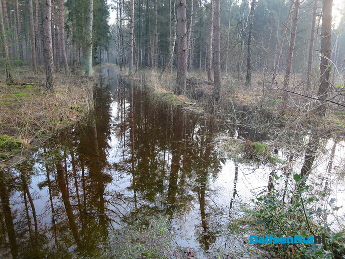 Meeste wateroverlast achter de rug, of toch niet - Foto: Wim