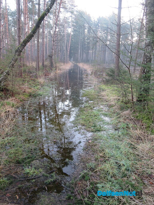 Meeste wateroverlast achter de rug, of toch niet - Foto: Wim