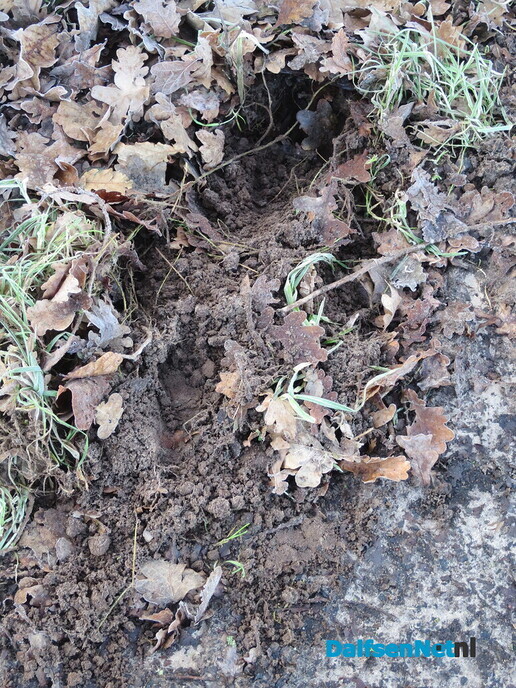 Meeste wateroverlast achter de rug, of toch niet - Foto: Wim