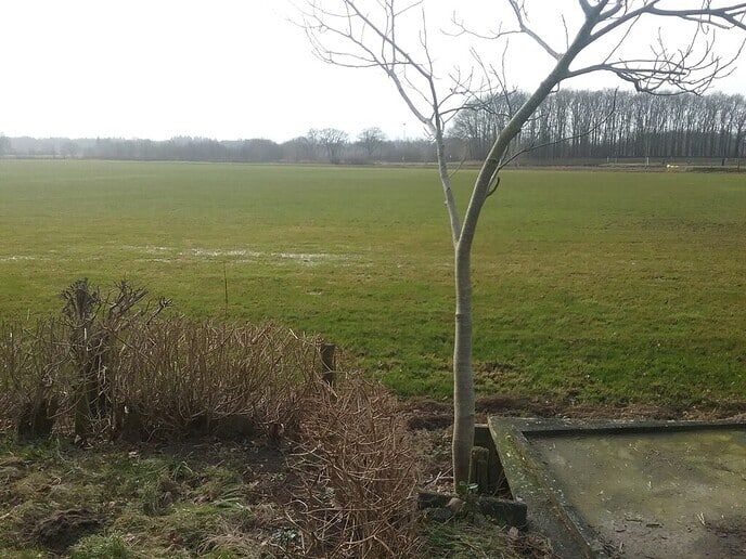 Het water naar de zee sturen is gelukt - Foto: Ingezonden foto