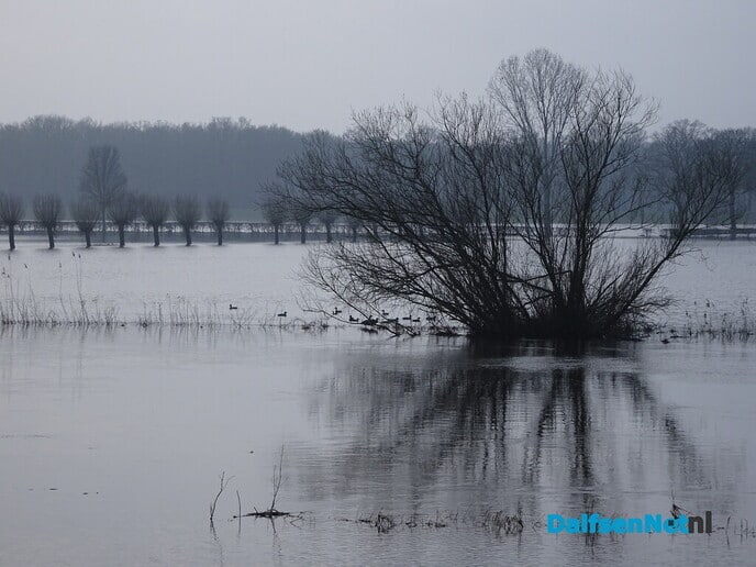 Mooi sfeertje op Bellingeweer - Foto: Ingezonden foto