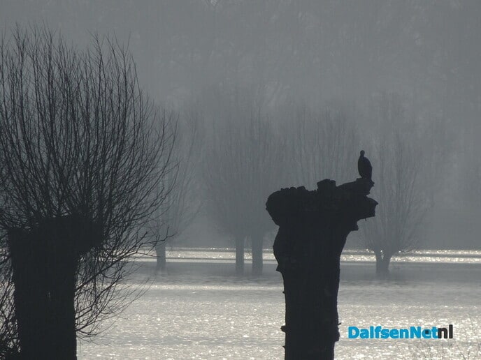 Mooi sfeertje op Bellingeweer - Foto: Ingezonden foto