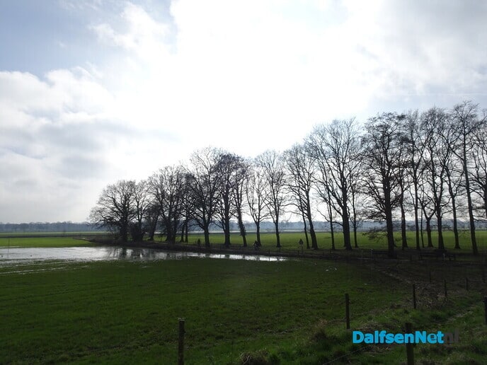Het wordt lente - Foto: Ingezonden foto