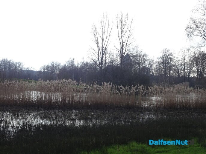 Het wordt lente - Foto: Ingezonden foto