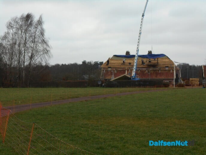 Nieuw rietendak