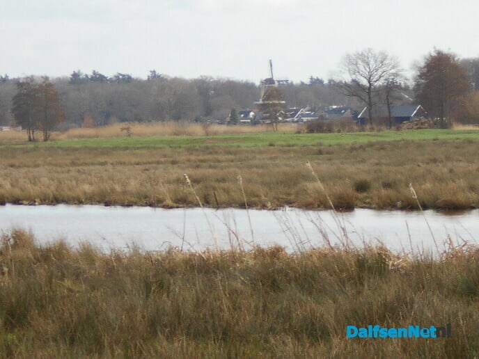 Plaatsing duiventil