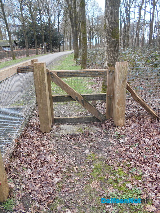 Plaatsing duiventil