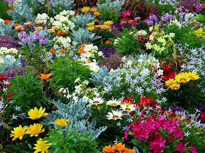 Al € 6.275 binnen voor tuin Brugstede, actie loopt nog 2 dagen