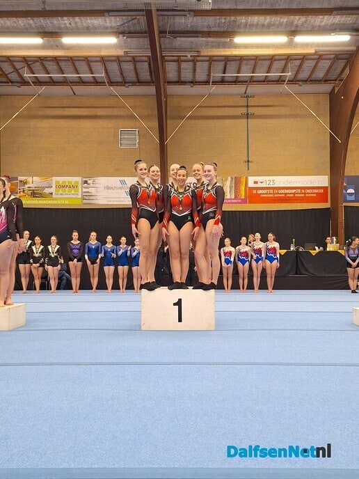Turnsters gym vereniging Nieuwleusen pakken goud - Foto: Ingezonden foto