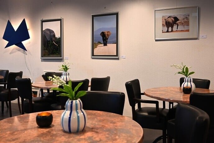 Bijzondere expositie in de Wiekelaar - Foto: Ingezonden foto